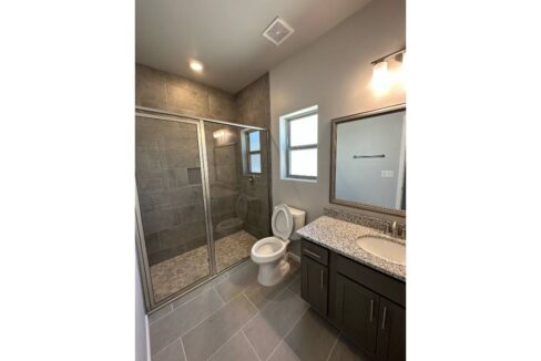 image3 (3)